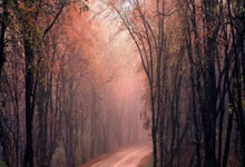 中超-奥斯卡助攻武磊破门 上海海港击败山东泰山.