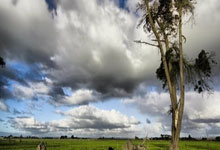 海星体育:太快了没有闪,巴舒亚伊走近法兰克福吉祥物时被“袭击”.