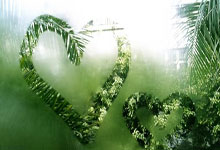 海星体育：太快了没有闪，巴舒亚伊走近法兰克福吉祥物时被“袭击”.