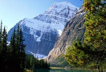 中超：上海申花队2-1战胜长春亚泰队.