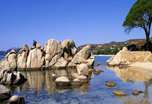 海星体育：太快了没有闪，巴舒亚伊走近法兰克福吉祥物时被“袭击”.